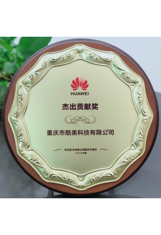 2020-華為-杰出貢獻(xiàn)獎